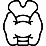 TIROIDES