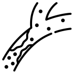 colesterol2